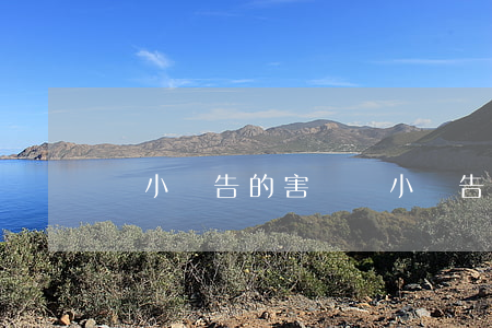 貼小廣告的害處(貼小廣告的害處是什么)