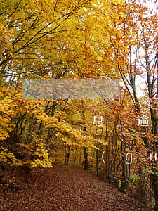 貼息貸逾期一個(gè)月還款(按揭還款超過(guò)幾天算逾期)