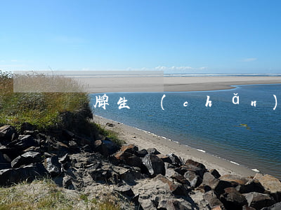 貼牌生產(chǎn)協(xié)議