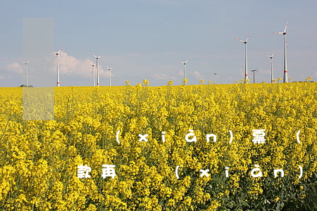 貼現(xiàn)票據(jù)轉成逾期貸款(再貼現(xiàn)票據(jù)到期)