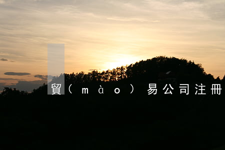 貿(mào)易公司注冊資金
