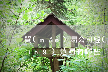 貿(mào)易公司經(jīng)營(yíng)范圍有哪些