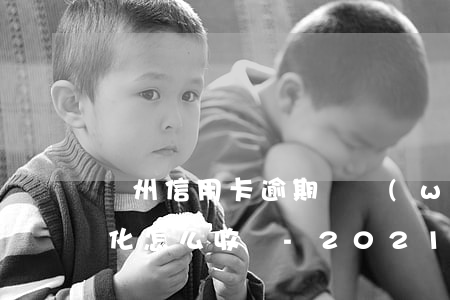 賀州信用卡逾期債務(wù)優(yōu)化怎么收費-2021年信用卡新規(guī)定