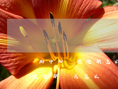 資助中心貸款逾期怎么辦(助學(xué)貸款逾期幾天怎么辦)