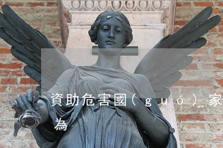 資助危害國(guó)家安全罪的主體要求為