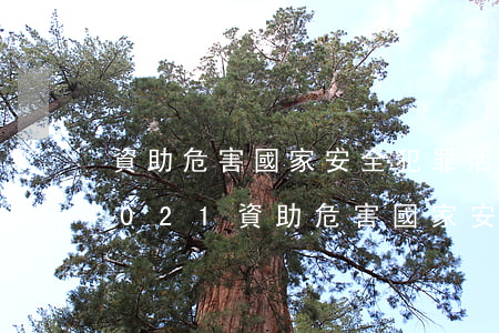 資助危害國家安全犯罪活動罪立案標準_2021資助危害國家安全犯罪活動罪量刑標準和認定構成要件