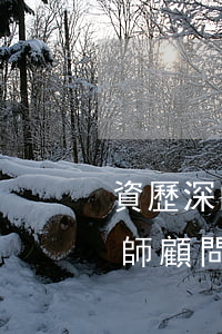 資歷深的債務(wù)債權(quán)律師顧問哪個(gè)好-資歷深的債務(wù)債權(quán)律師顧問哪個(gè)好做