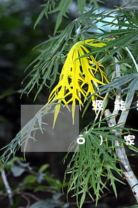 資源能源類法律法規(guī)(國(guó)家頒布的節(jié)約能源的法律標(biāo)準(zhǔn)規(guī)范和規(guī)定,有哪些)