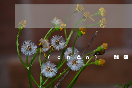 資產(chǎn)報酬率計算公式