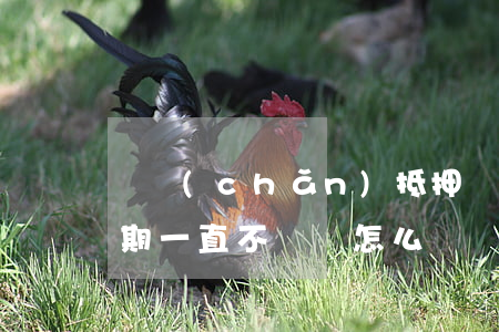 資產(chǎn)抵押貸款逾期不還(抵押逾期一直不還會怎么樣)