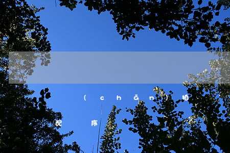 資產(chǎn)拍賣債權(quán)分配順序