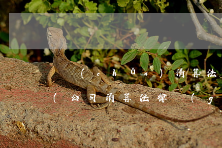 資產(chǎn)清算法律法規(guī)(公司清算法律規(guī)定有哪些)
