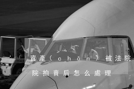 資產(chǎn)被法院拍賣可以申訴嗎(法院拍賣后怎么處理)