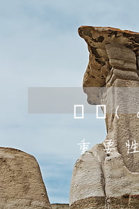 資產(chǎn)評(píng)估程序的重要性體現(xiàn)在什么地方