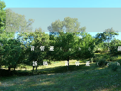 資管產(chǎn)品逾期也不公告可以投訴嗎-資管產(chǎn)品逾期也不公告可以投訴嗎知乎