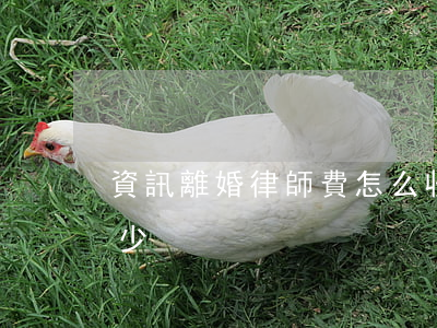 資訊離婚律師費怎么收(離婚律師收費標準多少)