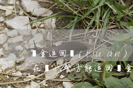 資金追回團(tuán)隊是真的嗎(平臺還在運作,警方能追回資金嗎)