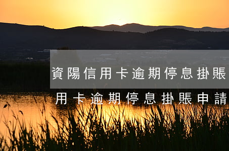 資陽信用卡逾期停息掛賬申請條件-資陽信用卡逾期停息掛賬申請條件是什么