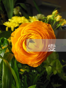 賈靜雯離婚原因