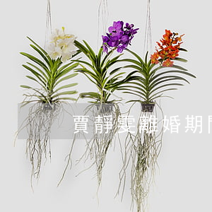 賈靜雯離婚期間