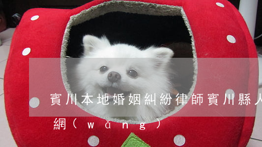 賓川本地婚姻糾紛律師(賓川縣人民法院公開網(wǎng))