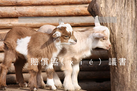 賠償協(xié)議書