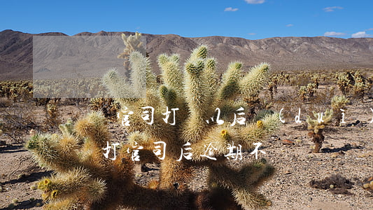 賠償官司打贏以后對(duì)方一直沒給錢（打官司后逾期不給錢賠償）
