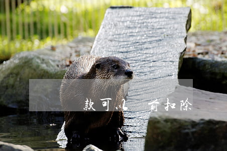 賠償款可以稅前扣除嗎