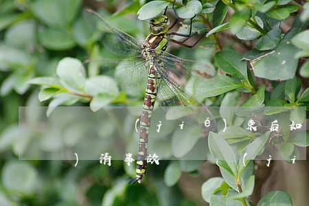 賠償結(jié)束后如何約定結(jié)清，事故賠償結(jié)束后如何約定結(jié)清