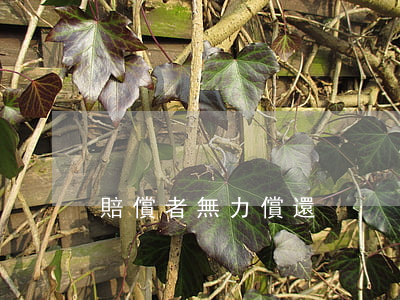 賠償者無力償還