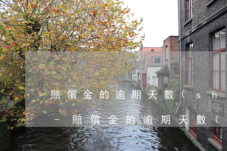 賠償金的逾期天數(shù)怎么計算公式-賠償金的逾期天數(shù)怎么計算公式呢