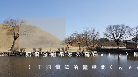 賠償金繼承怎么寫(xiě)(關(guān)于賠償款的繼承問(wèn)題)