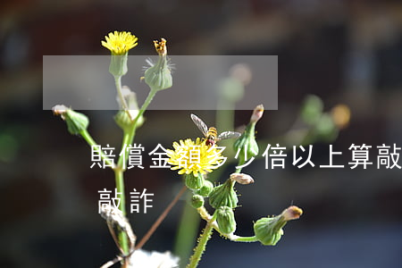賠償金額多少倍以上算敲詐(金額超過多少算敲詐)