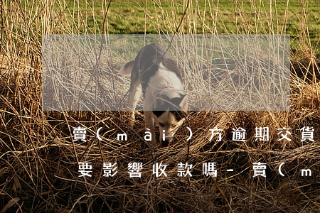 賣(mài)方逾期交貨買(mǎi)方又要影響收款嗎-賣(mài)方逾期交貨買(mǎi)方又要影響收款嗎怎么辦