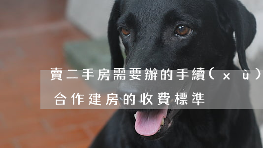 賣二手房需要辦的手續(xù)有哪些（集資合作建房的收費標準）