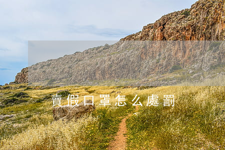 賣假口罩怎么處罰