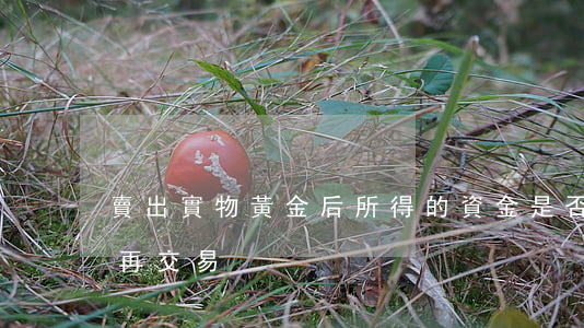 賣出實物黃金后所得的資金是否可用于當日再交易