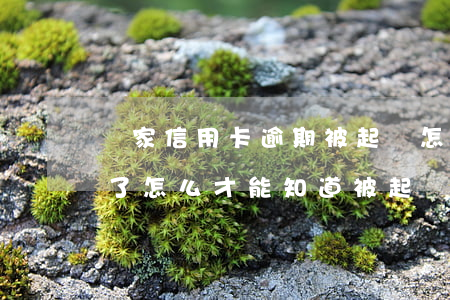 賣家信用卡逾期被起訴怎么辦 欠信用卡逾期了,怎么才能知道被起訴了