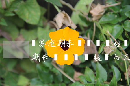 賣家逾期未舉證舉證超時后又舉證-賣家逾期未舉證舉證超時后又舉證怎么辦