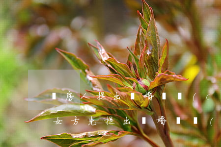 賣房人提出離婚財產(chǎn)怎么分割(女方先提出離婚,財產(chǎn)如何分割離婚財產(chǎn)分割)
