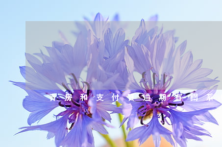 賣房和支付寶逾期有關系嗎