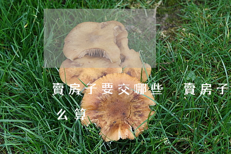 賣房子要交哪些稅(賣房子要交哪些稅,時間怎么算)