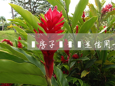 賣房子還債還是信用卡逾期