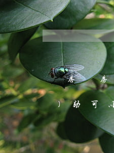 賣房沒房產(chǎn)證法院協(xié)助可以過戶嗎(賣房子不過戶能把房產(chǎn)證給買方嗎)