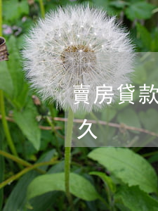 賣房貸款逾期可以贖樓嗎(贖樓貸款一般要多久)