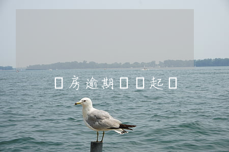 賣房逾期過戶起訴