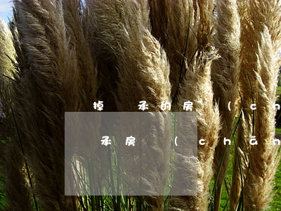 賣掉繼承的房產(chǎn)需要什么材料(繼承房產(chǎn)再出售需要什么提供什么資料)