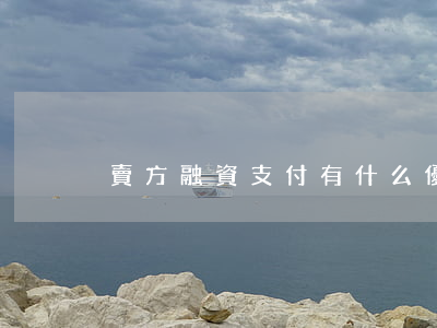 賣方融資支付有什么優(yōu)點
