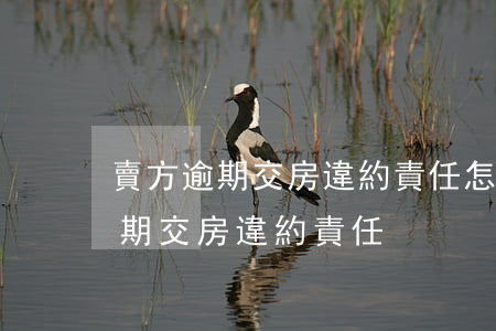 賣方逾期交房違約責任怎么辦 合同未約定逾期交房違約責任