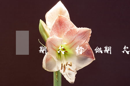 賣期貨欠銀行錢 做期貨欠了20萬怎么辦